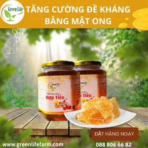 Mật ong rừng Hợp Tiến 500ml