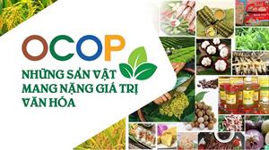 Vai trò của OCOP trong phát triển kinh tế nông thôn