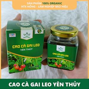 Cao cà gai leo lọ 100g