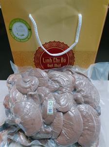 Linh chi đỏ hộp 500gr