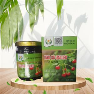 Cao cà gai leo lọ 100gr