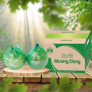 Bưởi Mường Động 1kg