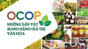 Sản phẩm OCOP 3 sao là gì? Có nên mua không?