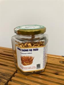 Đông Trùng Hạ Thảo hủ 25gr