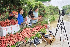 Cùng nông dân đưa nông sản Việt lên sàn thương mại điện tử